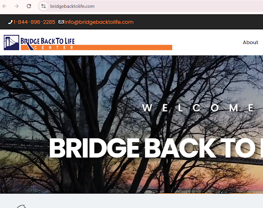 Bridge Back to Life Growth Case Study
